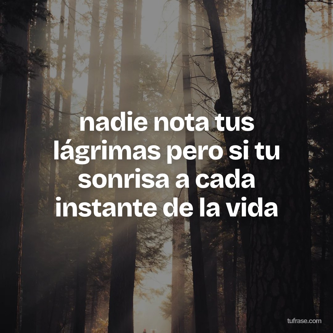 nadie nota tus lágrimas pero si tu sonrisa a cada instante de la vida