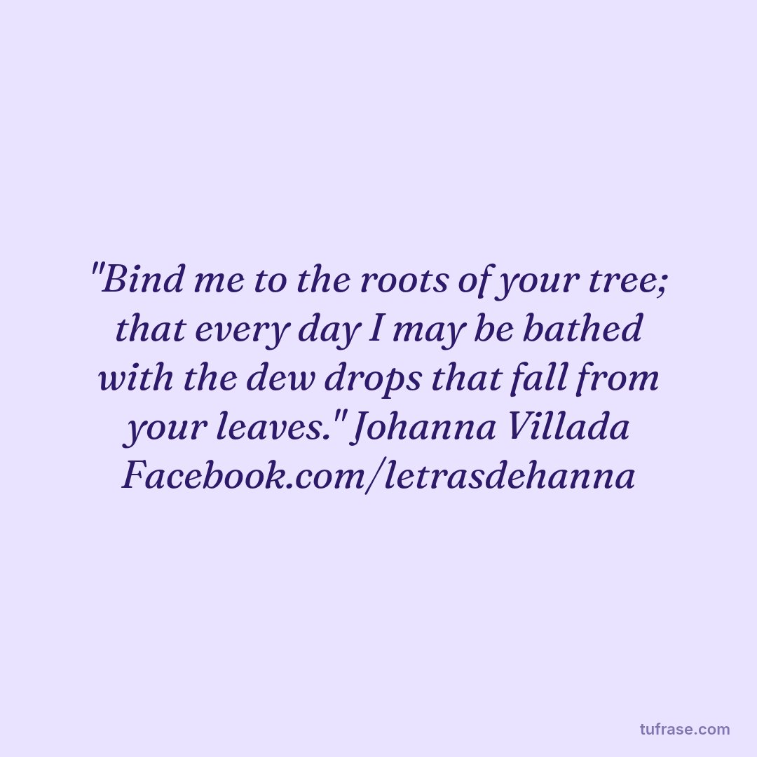 "Bind me to the roots of your tree; that every day I may be bathed with the dew drops that fall from your leaves." Johanna Villada Facebook.com/letrasdehanna
