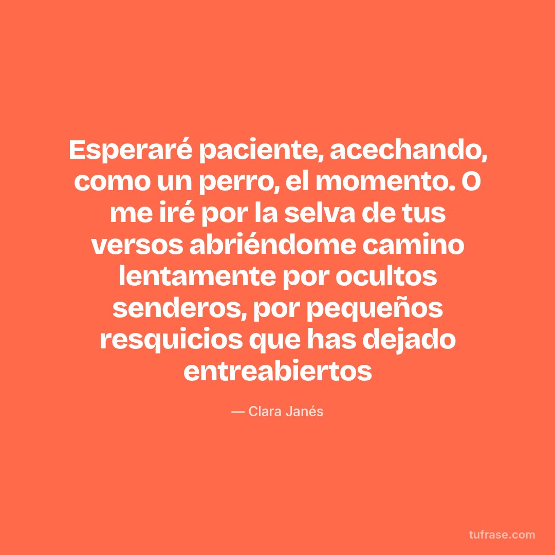 Esperaré paciente, acechando, como un perro, el momento. O me iré por la selva de tus versos abriéndome camino lentamente por ocultos senderos, por pequeños resquicios que has dejado entreabiertos