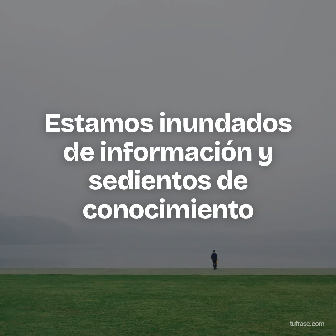 Estamos inundados de información y sedientos de conocimiento