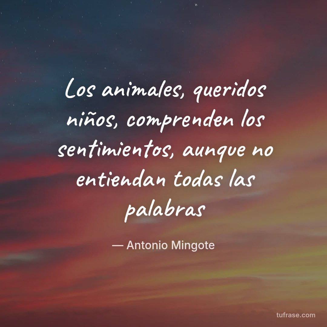 Los animales, queridos niños, comprenden los sentimientos, aunque no entiendan todas las palabras
