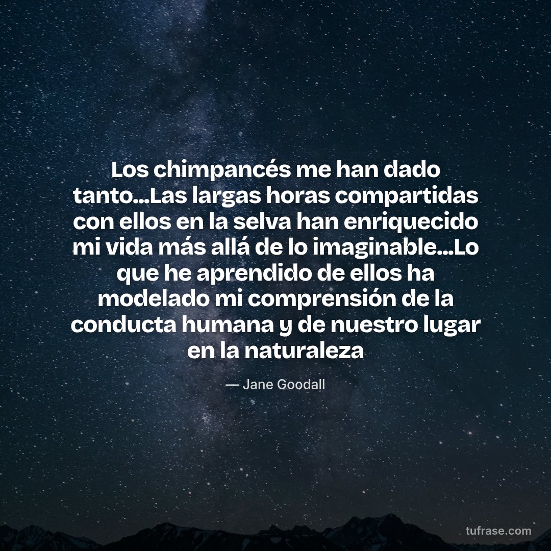 Los chimpancés me han dado tanto...Las largas horas compartidas con ellos en la selva han enriquecido mi vida más allá de lo imaginable...Lo que he aprendido de ellos ha modelado mi comprensión de la conducta humana y de nuestro lugar en la naturaleza