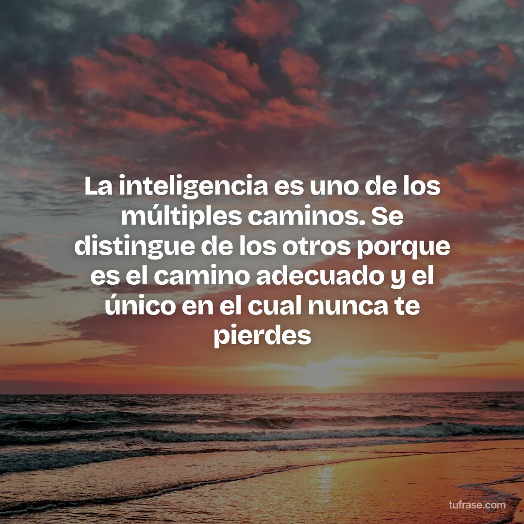 La inteligencia es uno de los múltiples caminos. Se distingue de los otros porque es el camino adecuado y el único en el cual nunca te pierdes