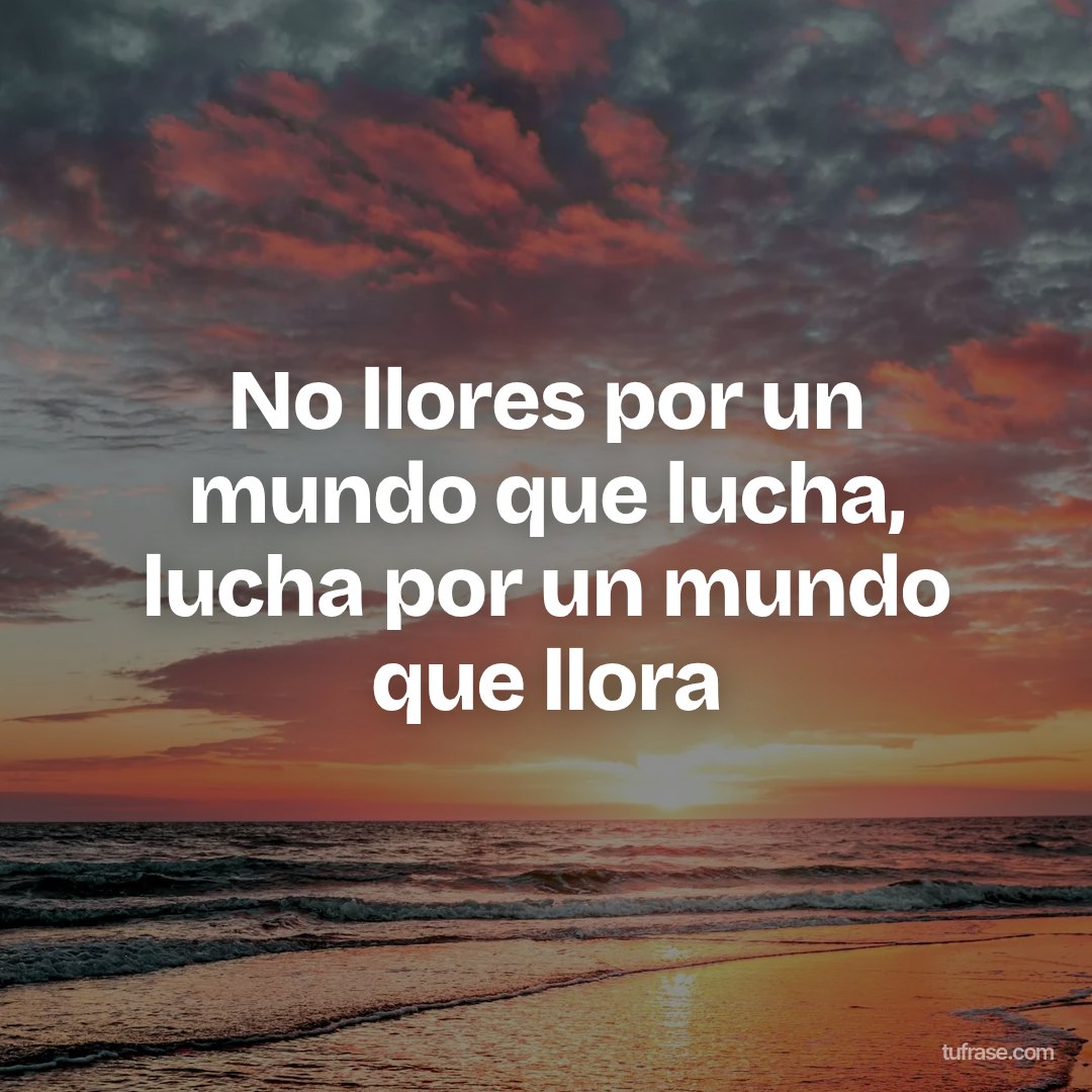 No llores por un mundo que lucha, lucha por un mundo que llora