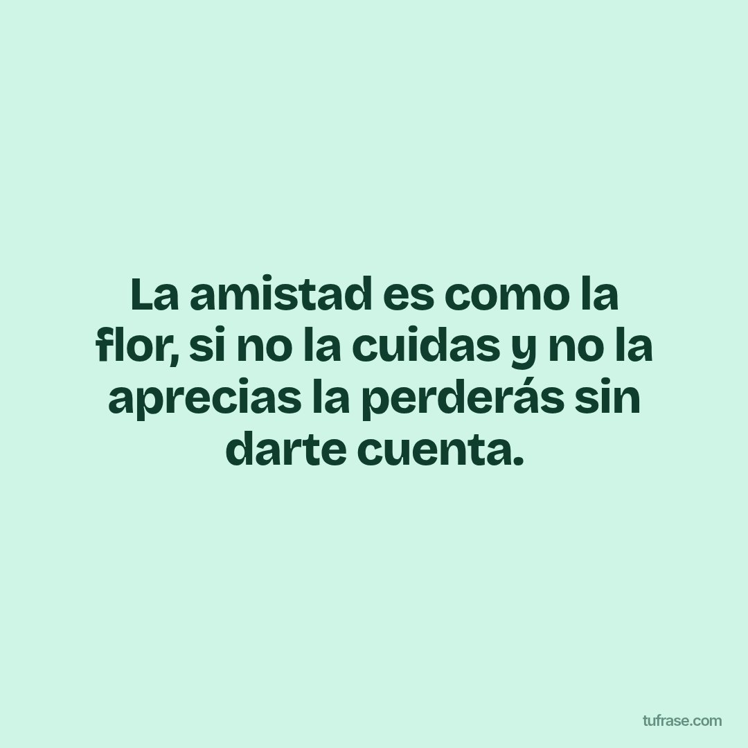 La amistad es como la flor, si no la cuidas y no la aprecias la perderás sin darte cuenta.