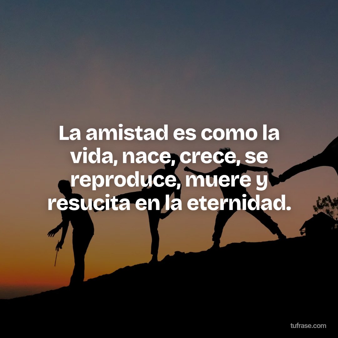 La amistad es como la vida, nace, crece, se reproduce, muere y resucita en la eternidad.