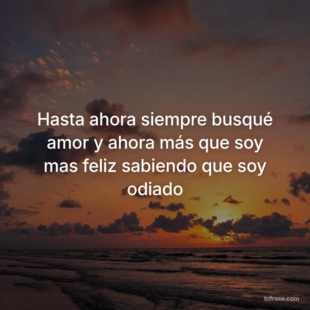 Hasta ahora siempre busqué amor y ahora más que soy mas feliz sabiendo que soy odiado