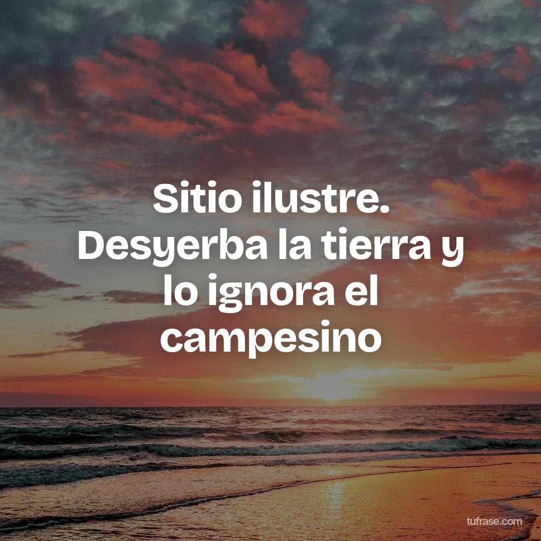Sitio ilustre. Desyerba la tierra y lo ignora el campesino