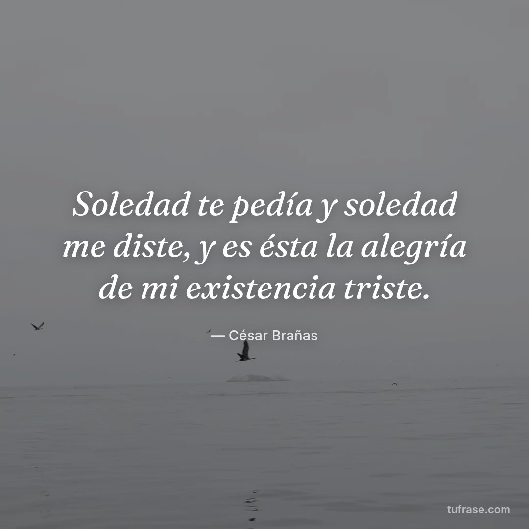 Soledad te pedía y soledad me diste, y es ésta la alegría de mi existencia triste.