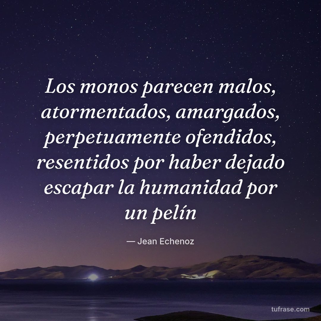 Los monos parecen malos, atormentados, amargados, perpetuamente ofendidos, resentidos por haber dejado escapar la humanidad por un pelín