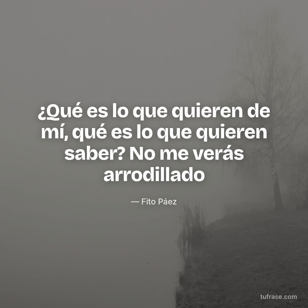 ¿Qué es lo que quieren de mí, qué es lo que quieren saber? No me verás arrodillado