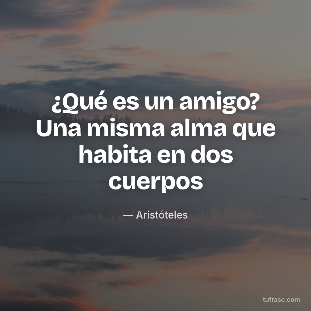 ¿Qué es un amigo? Una misma alma que habita en dos cuerpos