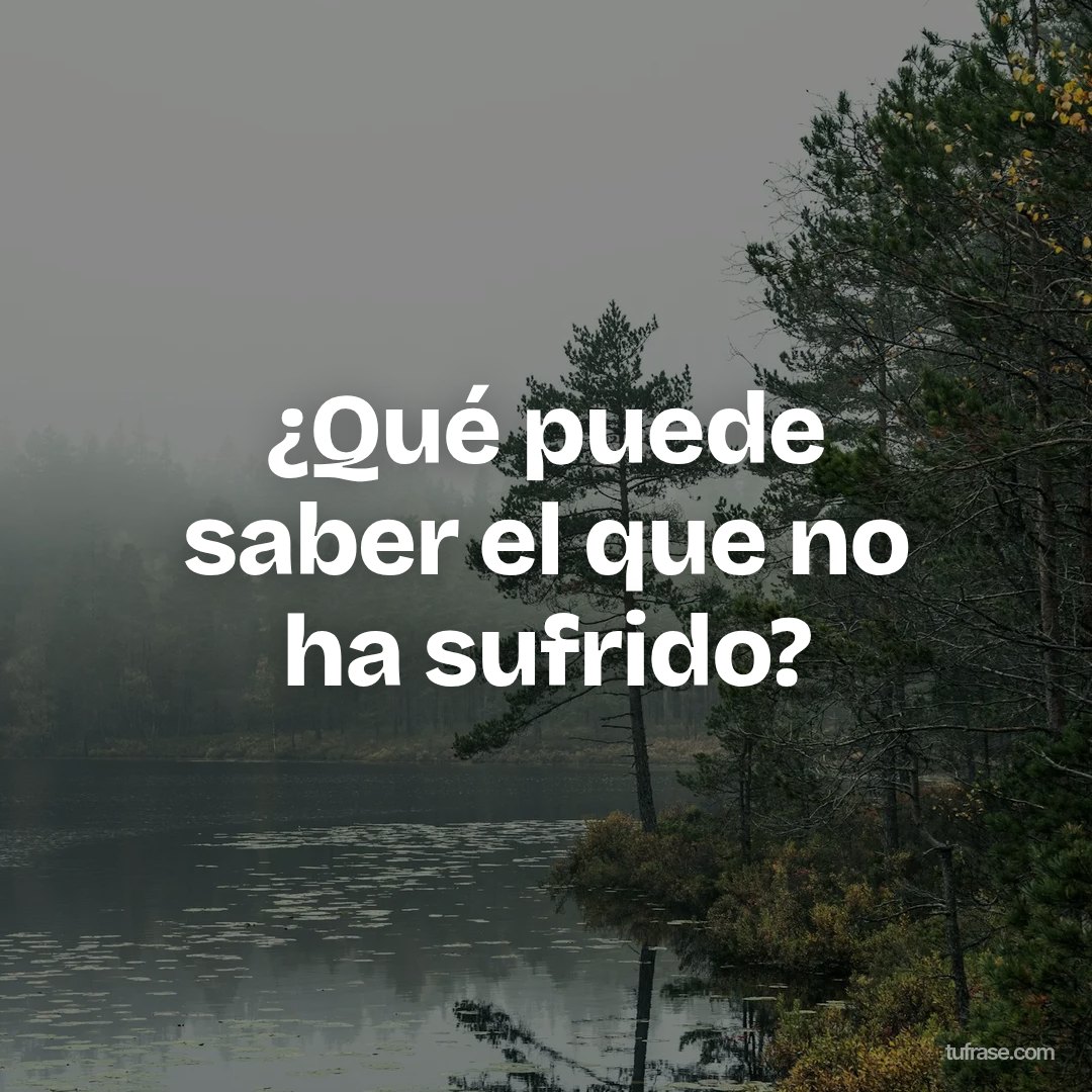 ¿Qué puede saber el que no ha sufrido?