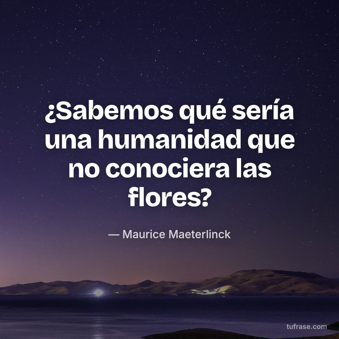 ¿Sabemos qué sería una humanidad que no conociera las flores?