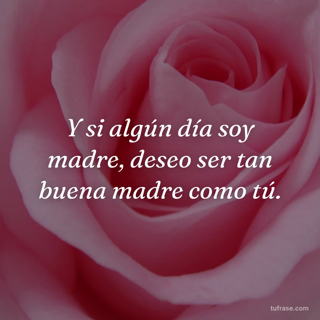 Y si algún día soy madre, deseo ser tan buena madre como tú.