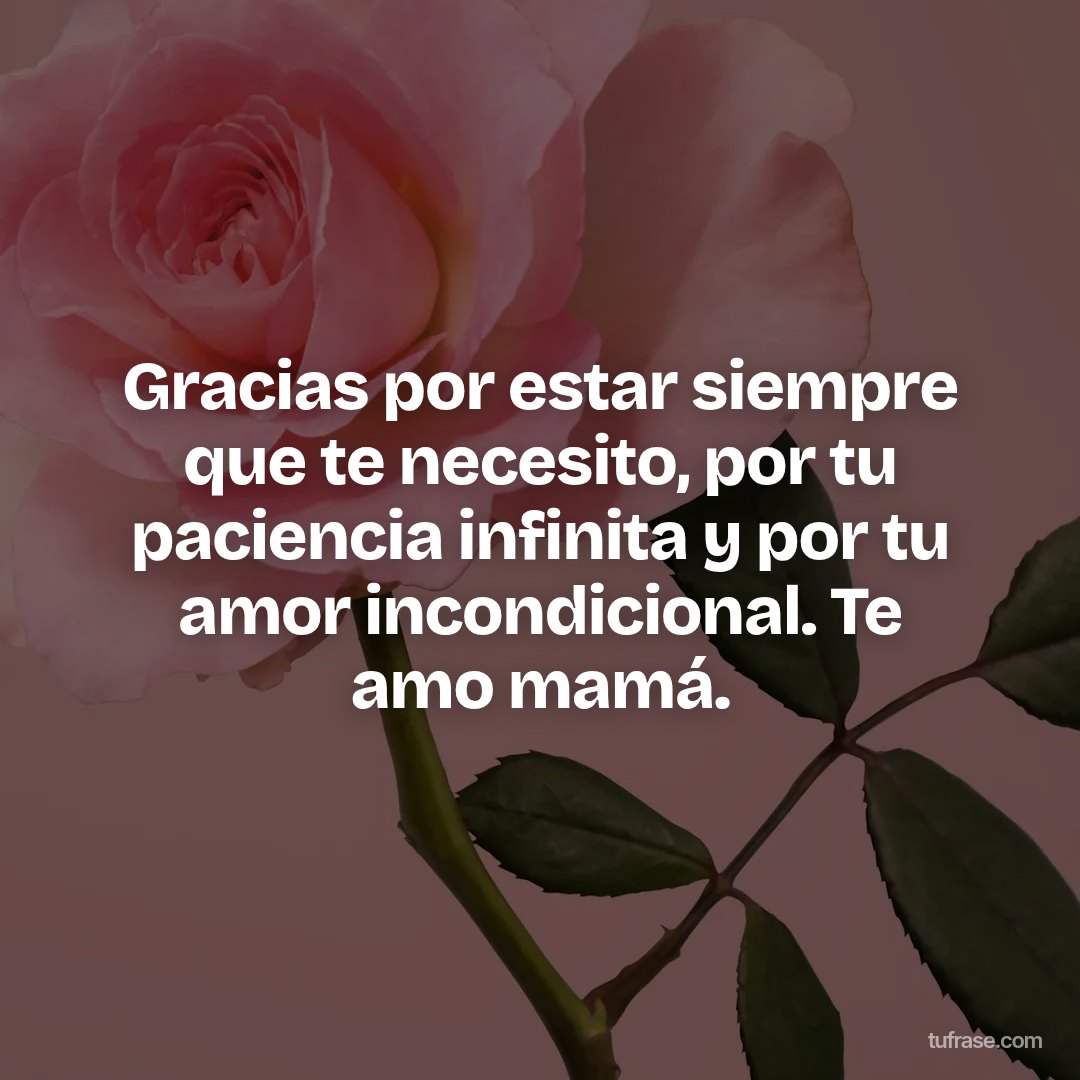 Gracias por estar siempre que te necesito, por tu paciencia infinita y por tu amor incondicional. Te amo mamá.