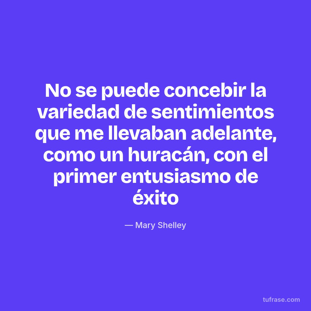 No se puede concebir la variedad de sentimientos que me llevaban adelante, como un huracán, con el primer entusiasmo de éxito