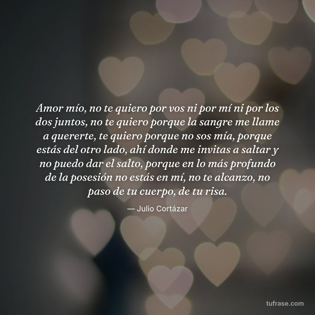 Amor mío, no te quiero por vos ni por mí ni por los dos juntos, no te quiero porque la sangre me llame a quererte, te quiero porque no sos mía, porque estás del otro lado, ahí donde me invitas a saltar y no puedo dar el salto, porque en lo más profundo de la posesión no estás en mí, no te alcanzo, no paso de tu cuerpo, de tu risa.