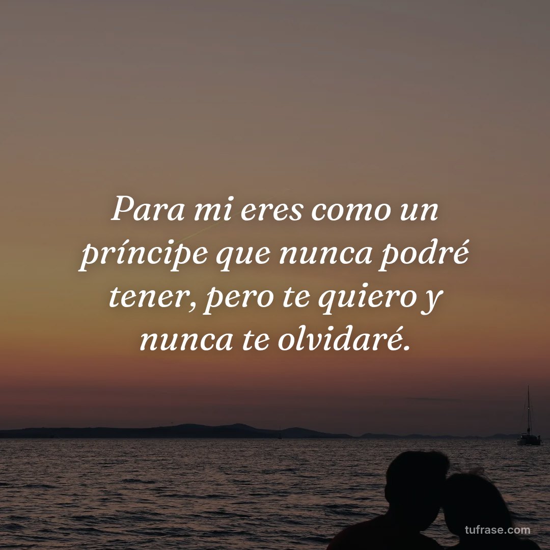 Para mi eres como un príncipe que nunca podré tener, pero te quiero y nunca te olvidaré.