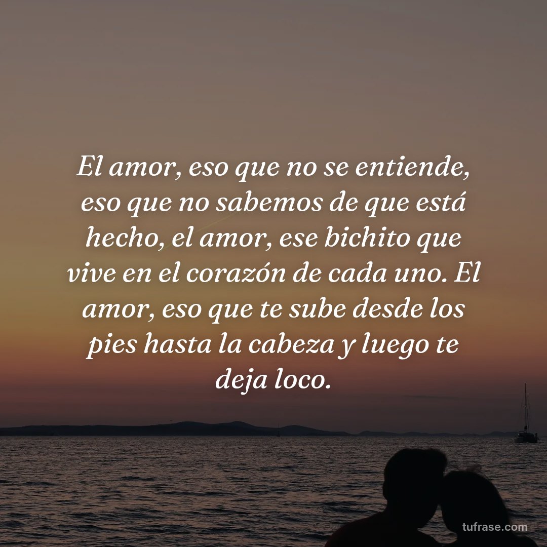 El amor, eso que no se entiende, eso que no sabemos de que está hecho, el amor, ese bichito que vive en el corazón de cada uno. El amor, eso que te sube desde los pies hasta la cabeza y luego te deja loco.