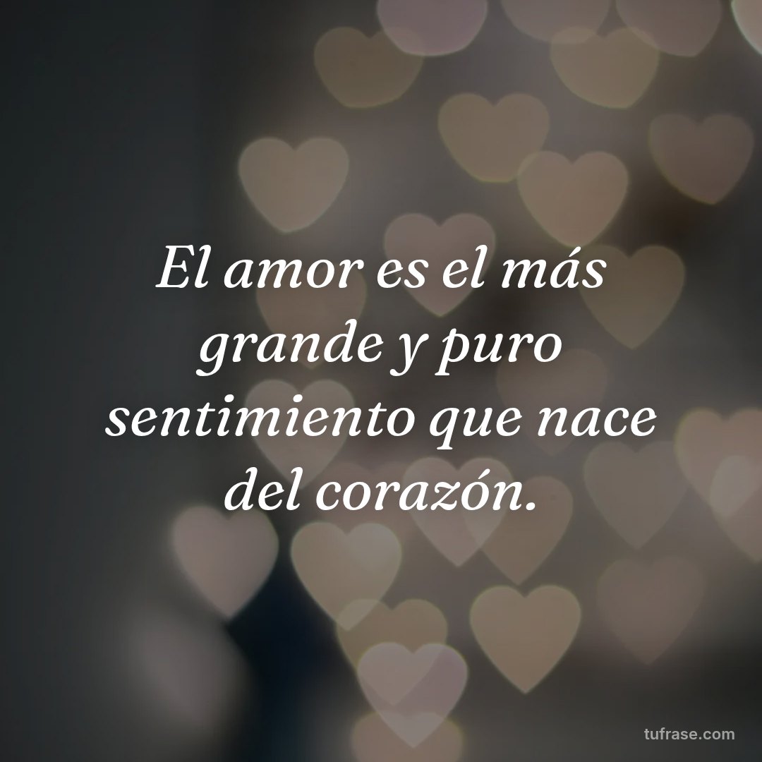 El amor es el más grande y puro sentimiento que nace del corazón.