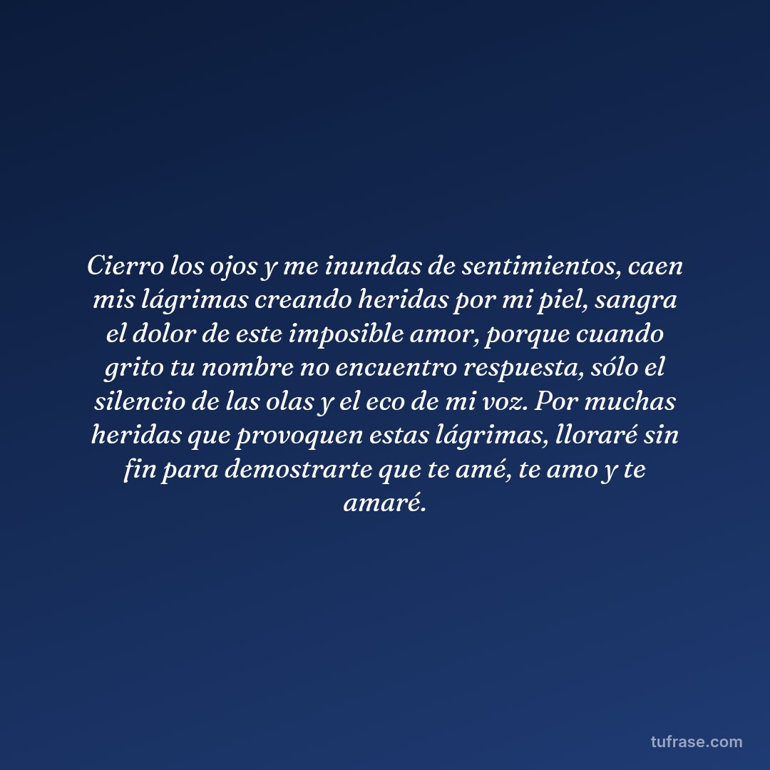 Cierro los ojos y me inundas de sentimientos, caen mis lágrimas creando heridas por mi piel, sangra el dolor de este imposible amor, porque cuando grito tu nombre no encuentro respuesta, sólo el silencio de las olas y el eco de mi voz. Por muchas heridas que provoquen estas lágrimas, lloraré sin fin para demostrarte que te amé, te amo y te amaré.