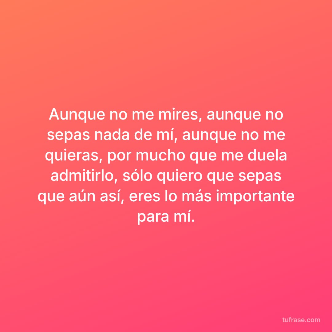 Aunque no me mires, aunque no sepas nada de mí, aunque no me quieras, por mucho que me duela admitirlo, sólo quiero que sepas que aún así, eres lo más importante para mí.