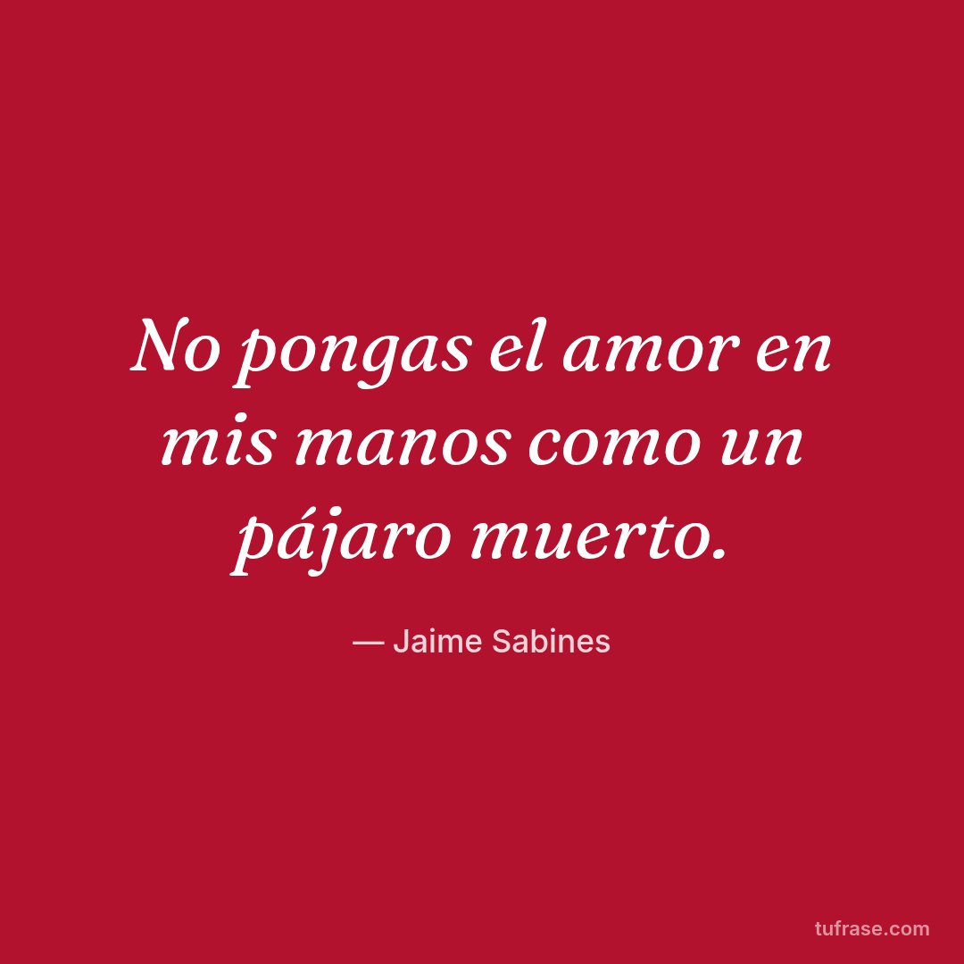 No pongas el amor en mis manos como un pájaro muerto.