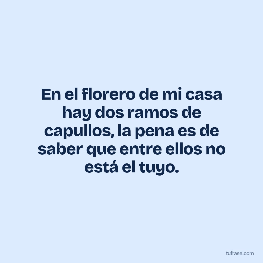 En el florero de mi casa hay dos ramos de capullos, la pena es de saber que entre ellos no está el tuyo.