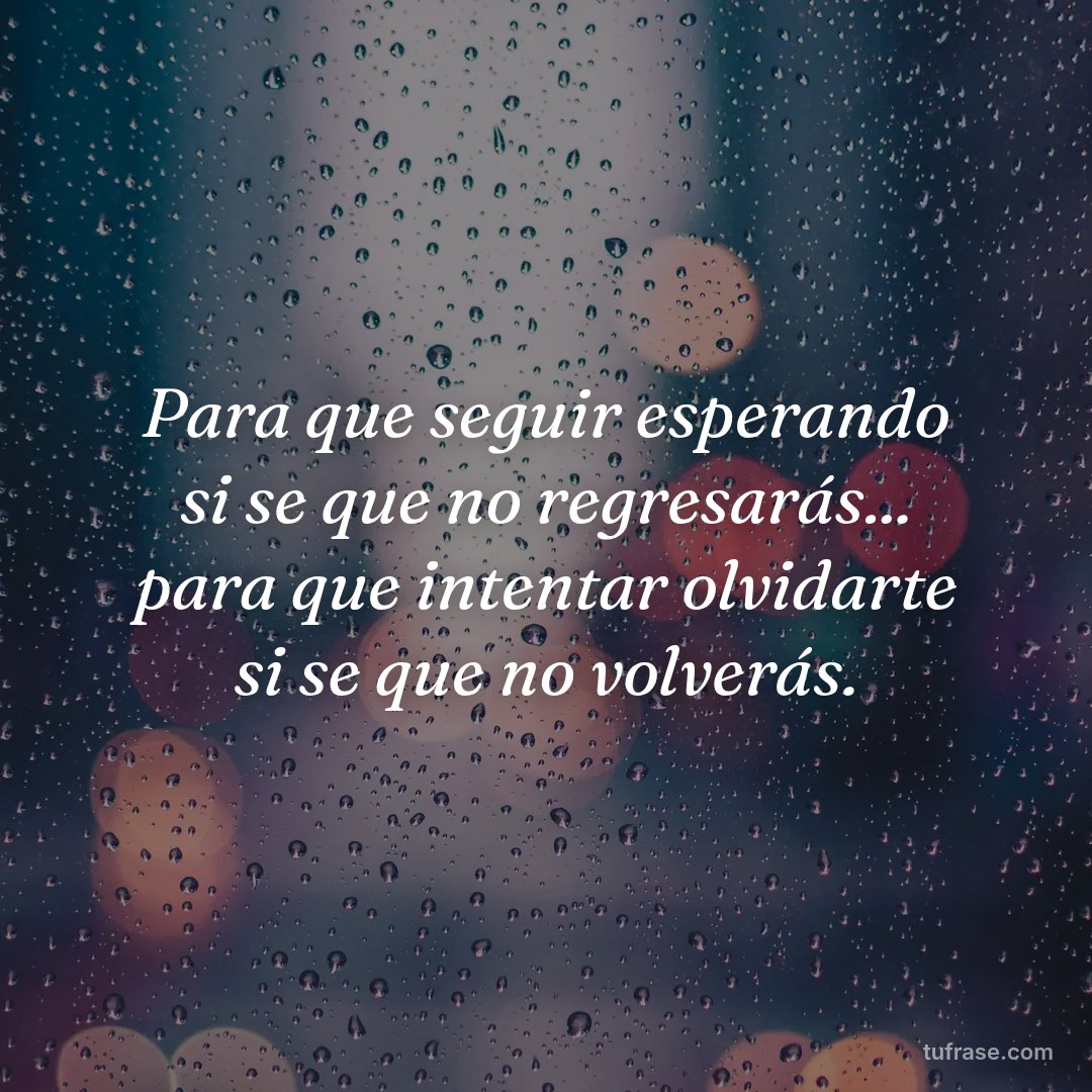 Para que seguir esperando si se que no regresarás... para que intentar olvidarte si se que no volverás.