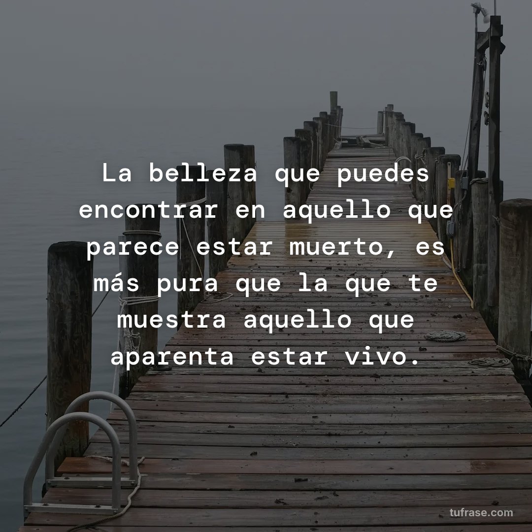 La belleza que puedes encontrar en aquello que parece estar muerto, es más pura que la que te muestra aquello que aparenta estar vivo.