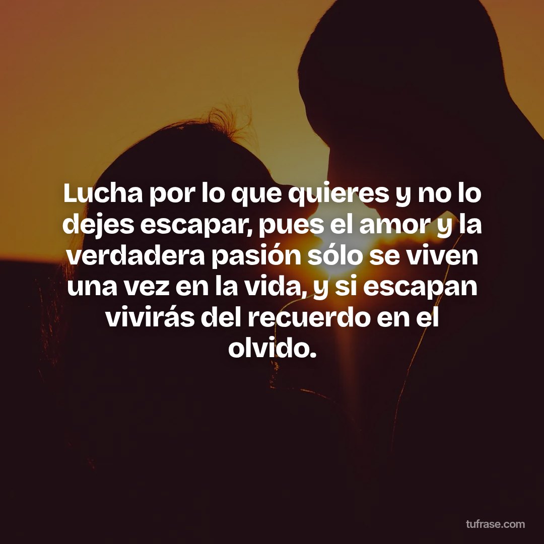 Lucha por lo que quieres y no lo dejes escapar, pues el amor y la verdadera pasión sólo se viven una vez en la vida, y si escapan vivirás del recuerdo en el olvido.