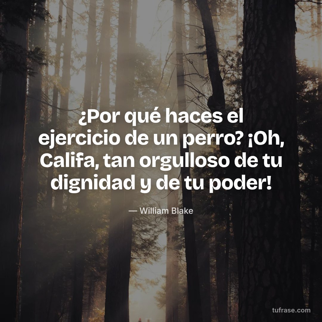 ¿Por qué haces el ejercicio de un perro? ¡Oh, Califa, tan orgulloso de tu dignidad y de tu poder!