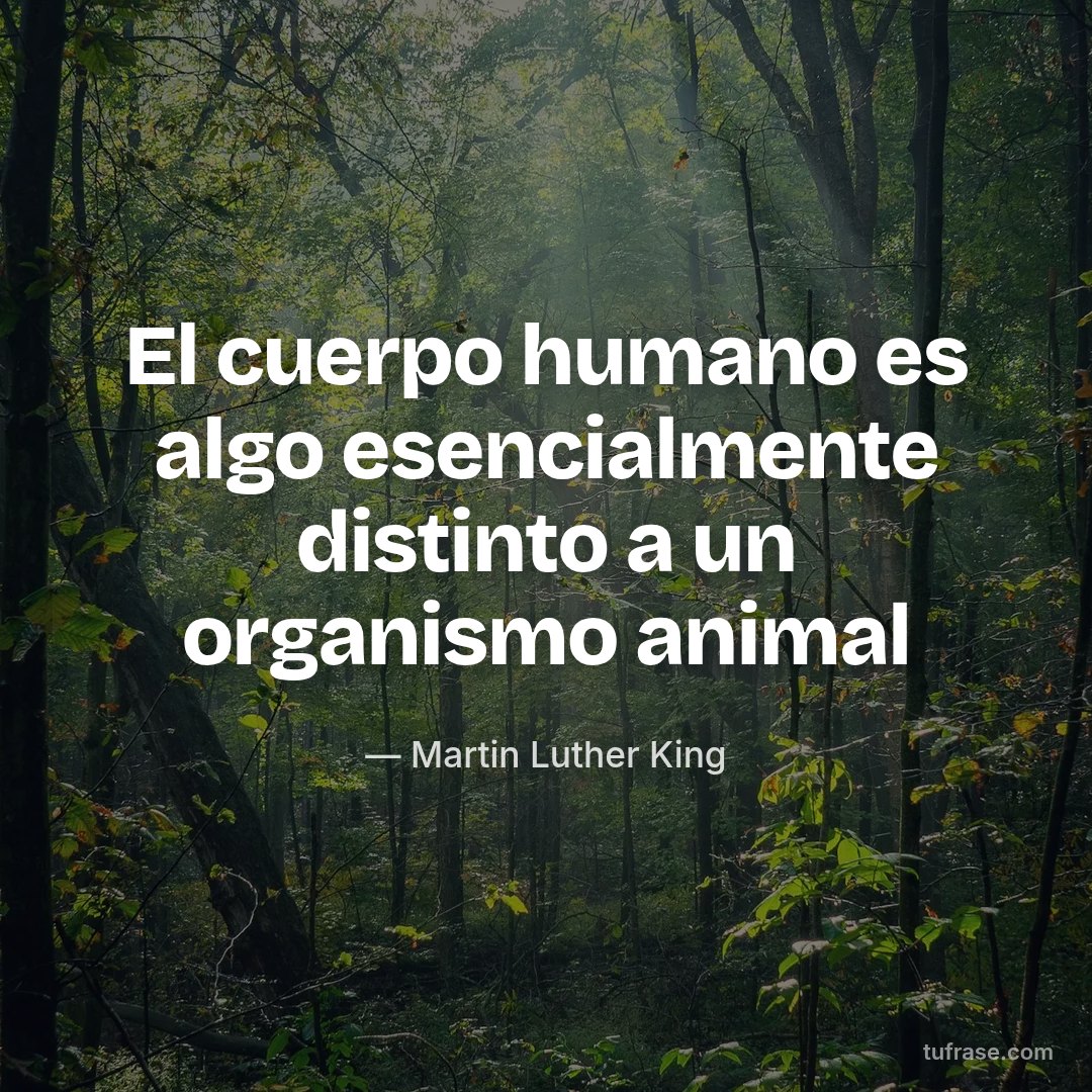 El cuerpo humano es algo esencialmente distinto a un organismo animal