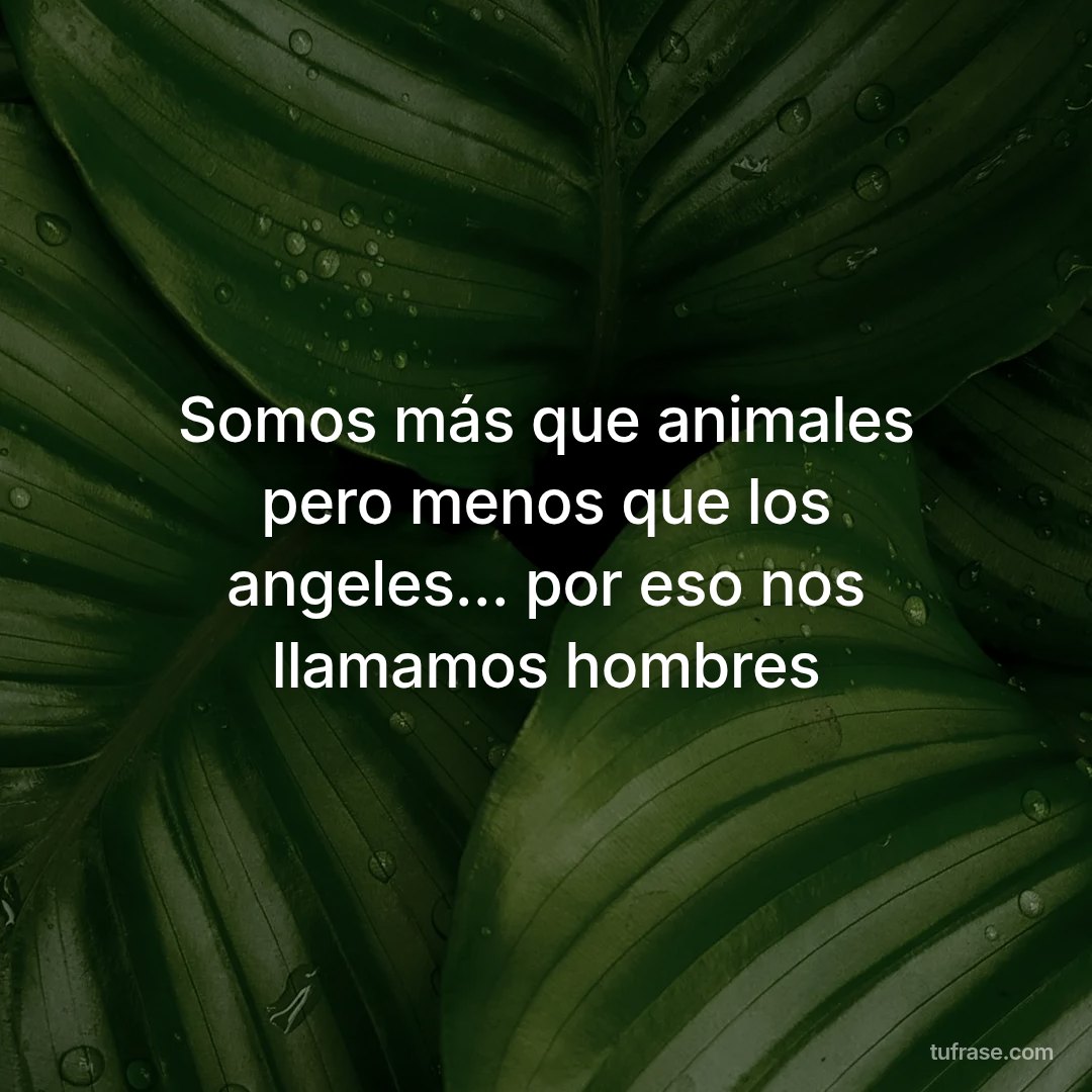 Somos más que animales pero menos que los angeles... por eso nos llamamos hombres