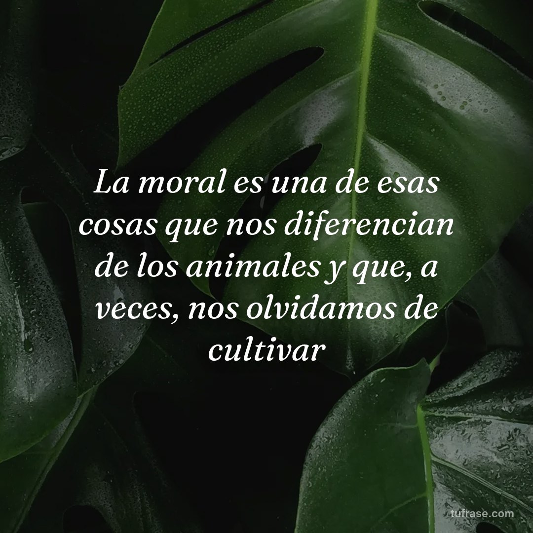 La moral es una de esas cosas que nos diferencian de los animales y que, a veces, nos olvidamos de cultivar