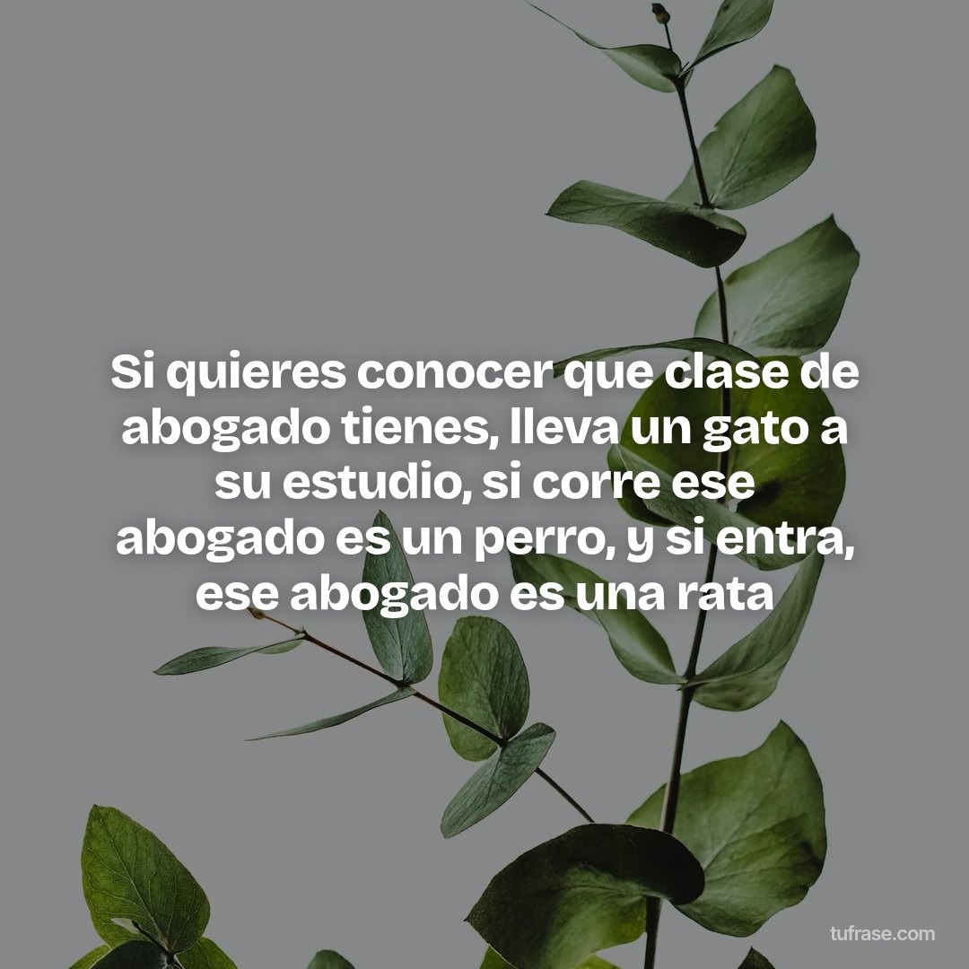 Si quieres conocer que clase de abogado tienes, lleva un gato a su estudio, si corre ese abogado es un perro, y si entra, ese abogado es una rata