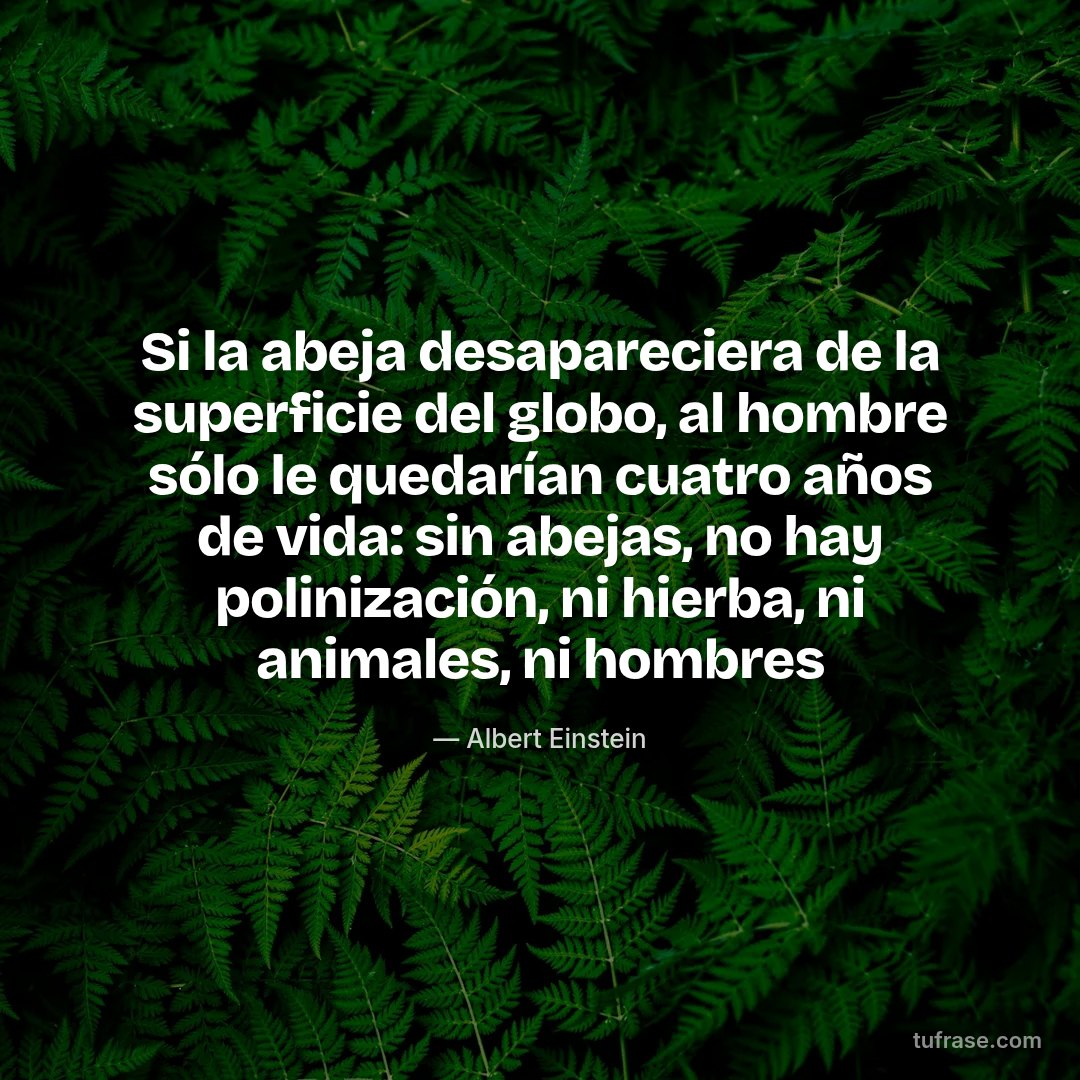 Si la abeja desapareciera de la superficie del globo, al hombre sólo le quedarían cuatro años de vida: sin abejas, no hay polinización, ni hierba, ni animales, ni hombres