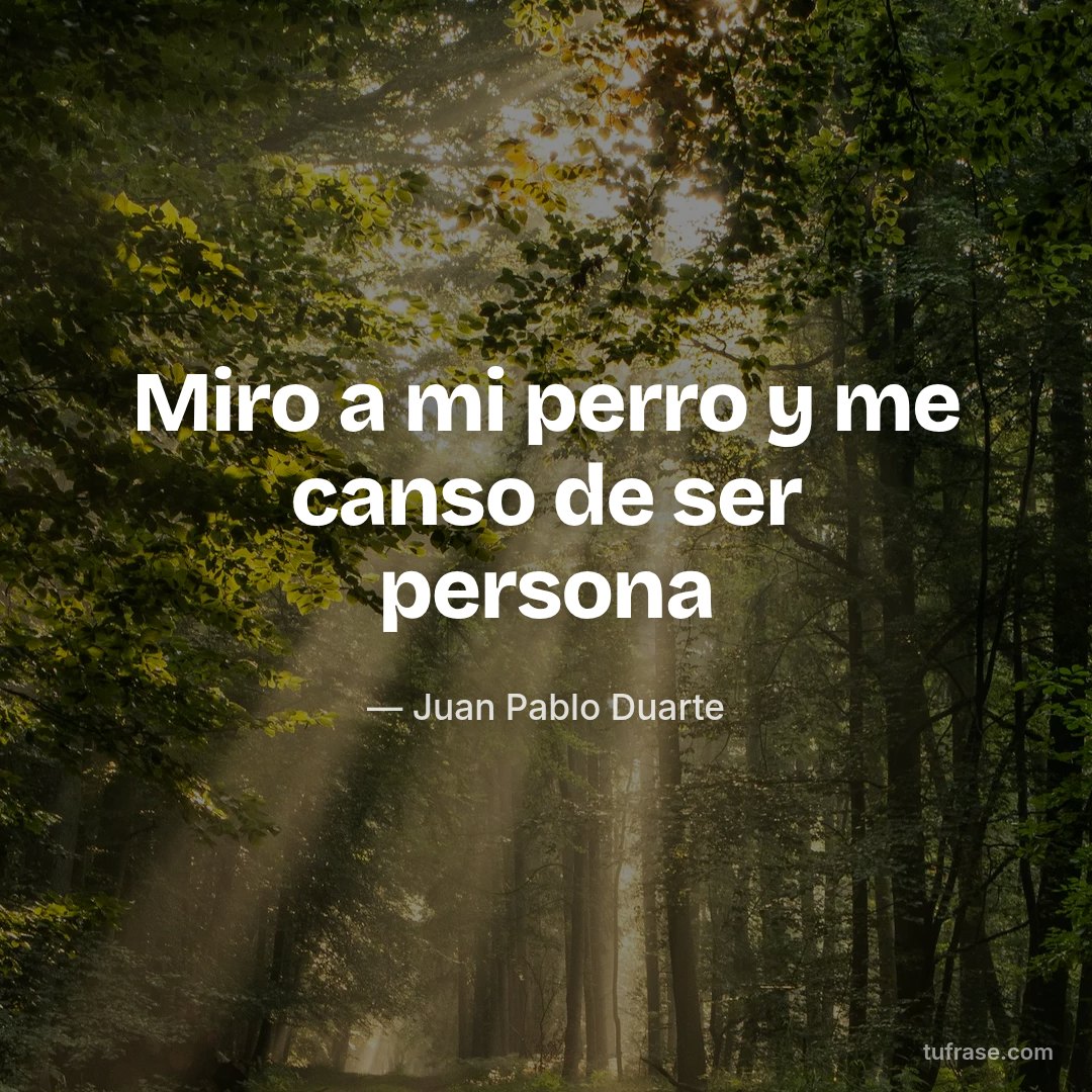 Miro a mi perro y me canso de ser persona
