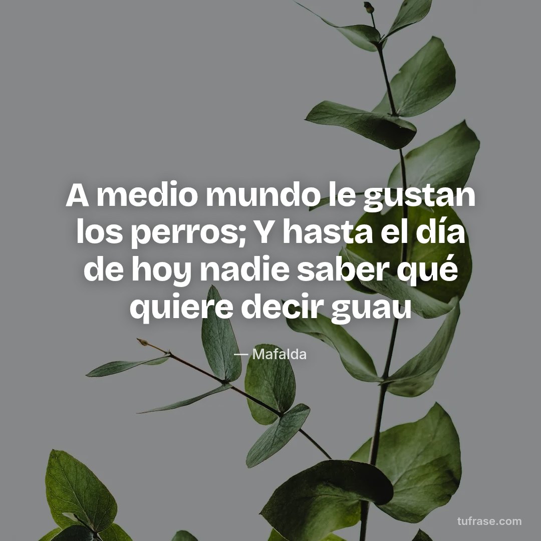 A medio mundo le gustan los perros; Y hasta el día de hoy nadie saber qué quiere decir guau