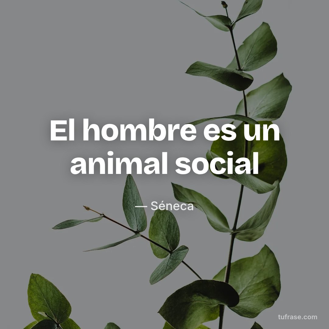 El hombre es un animal social