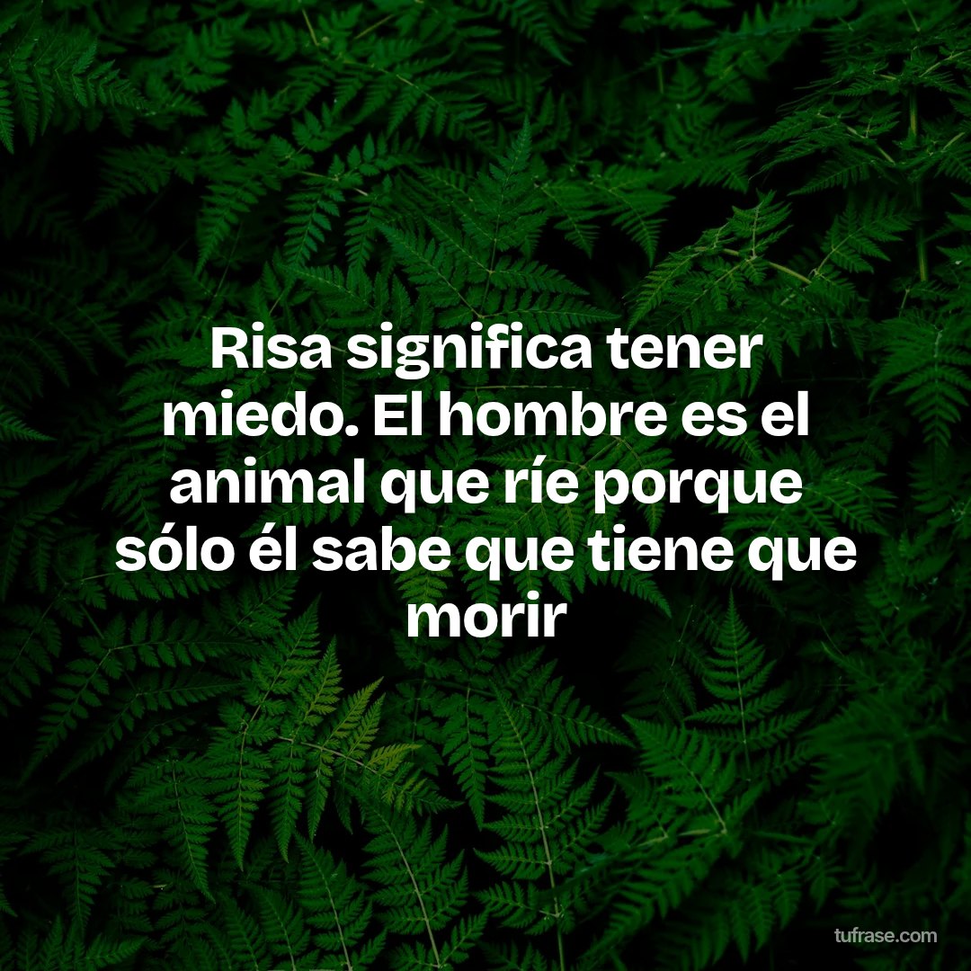 Risa significa tener miedo. El hombre es el animal que ríe porque sólo él sabe que tiene que morir