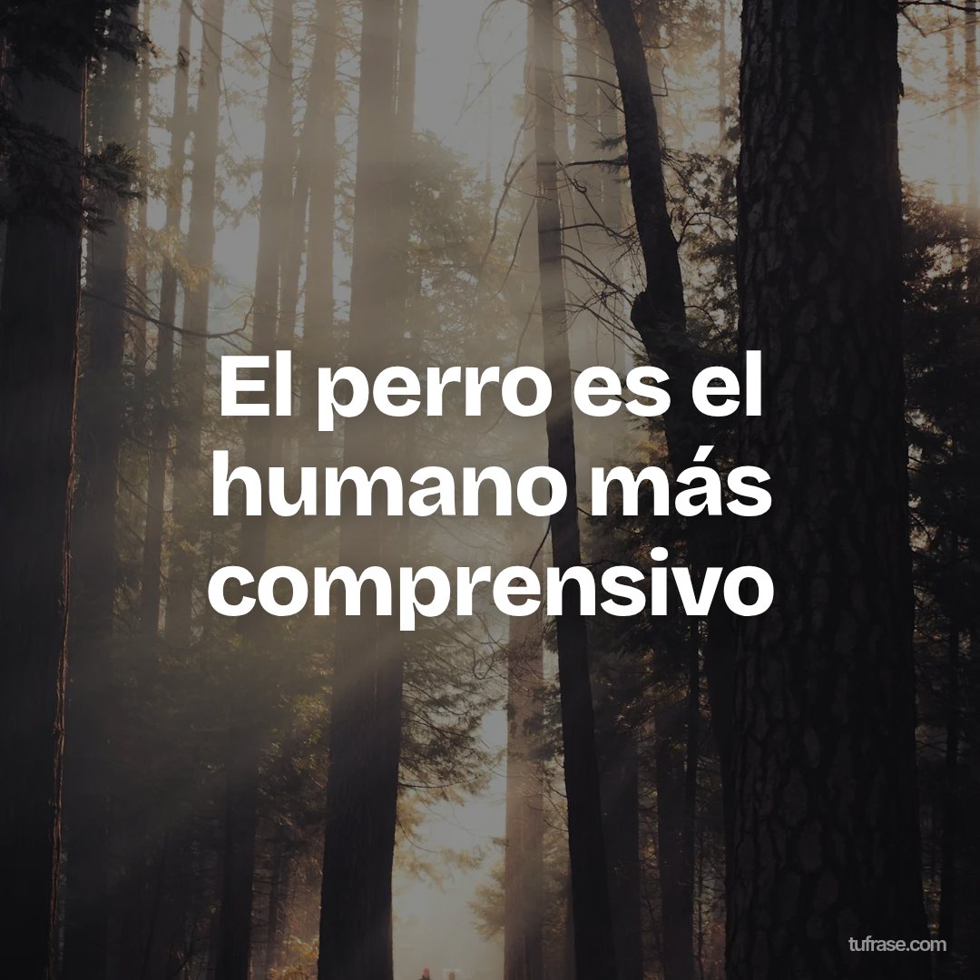 El perro es el humano más comprensivo