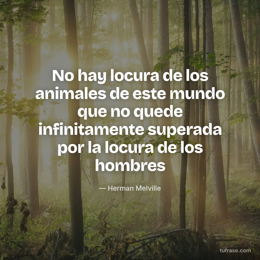 No hay locura de los animales de este mundo que no quede infinitamente superada por la locura de los hombres