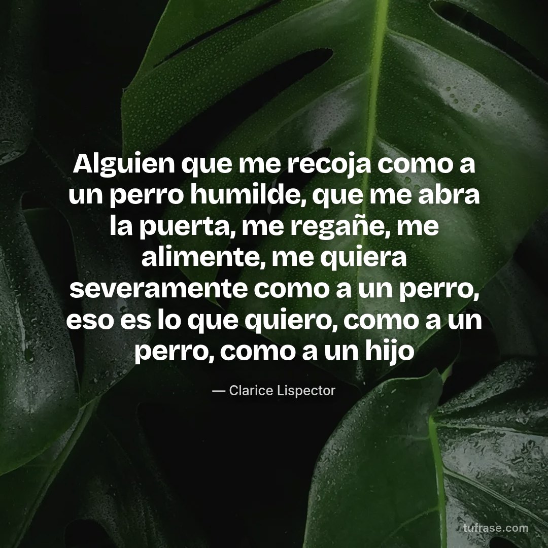 Alguien que me recoja como a un perro humilde, que me abra la puerta, me regañe, me alimente, me quiera severamente como a un perro, eso es lo que quiero, como a un perro, como a un hijo