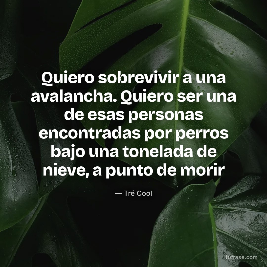 Quiero sobrevivir a una avalancha. Quiero ser una de esas personas encontradas por perros bajo una tonelada de nieve, a punto de morir