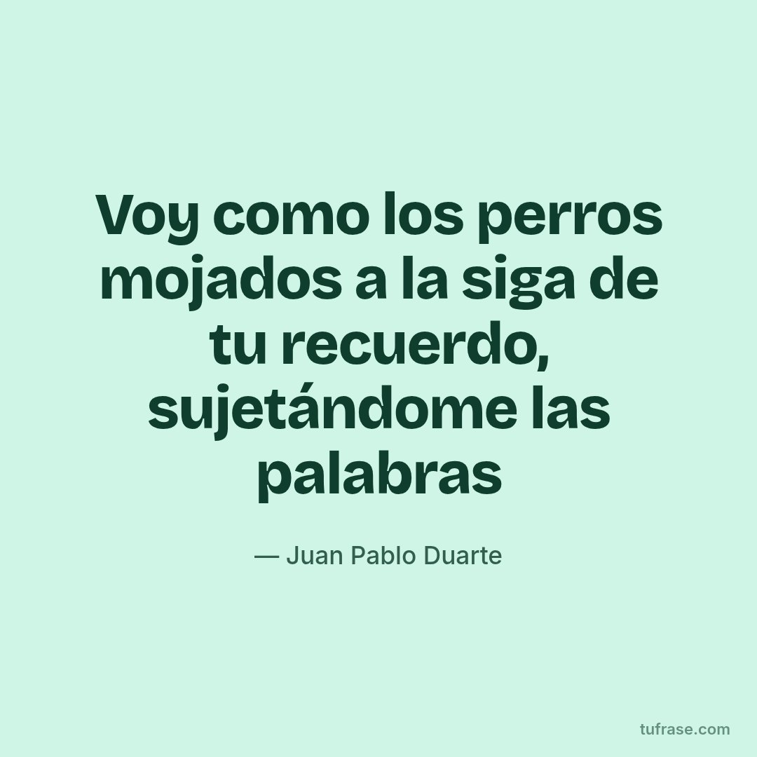 Voy como los perros mojados a la siga de tu recuerdo, sujetándome las palabras