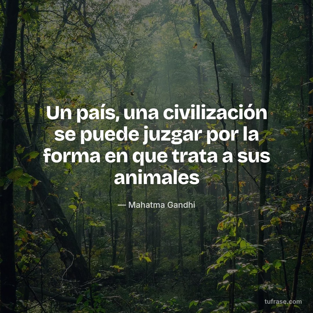 Un país, una civilización se puede juzgar por la forma en que trata a sus animales