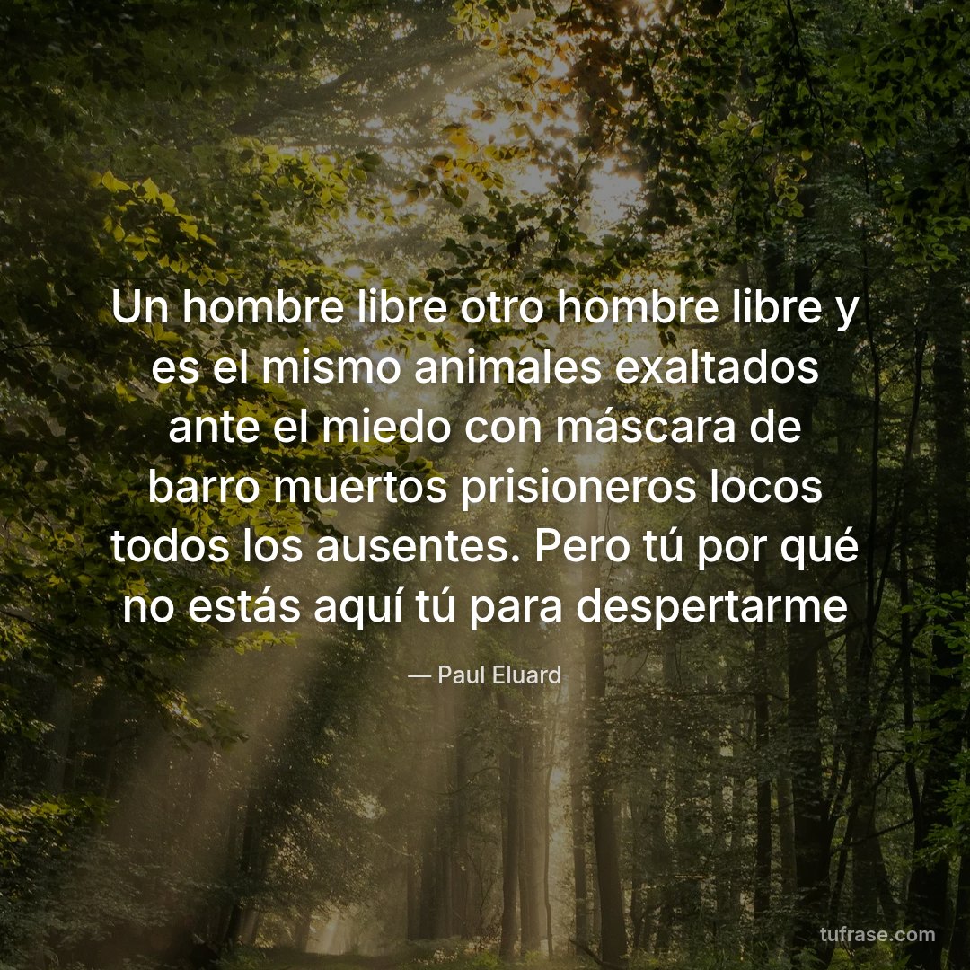 Un hombre libre otro hombre libre y es el mismo animales exaltados ante el miedo con máscara de barro muertos prisioneros locos todos los ausentes. Pero tú por qué no estás aquí tú para despertarme