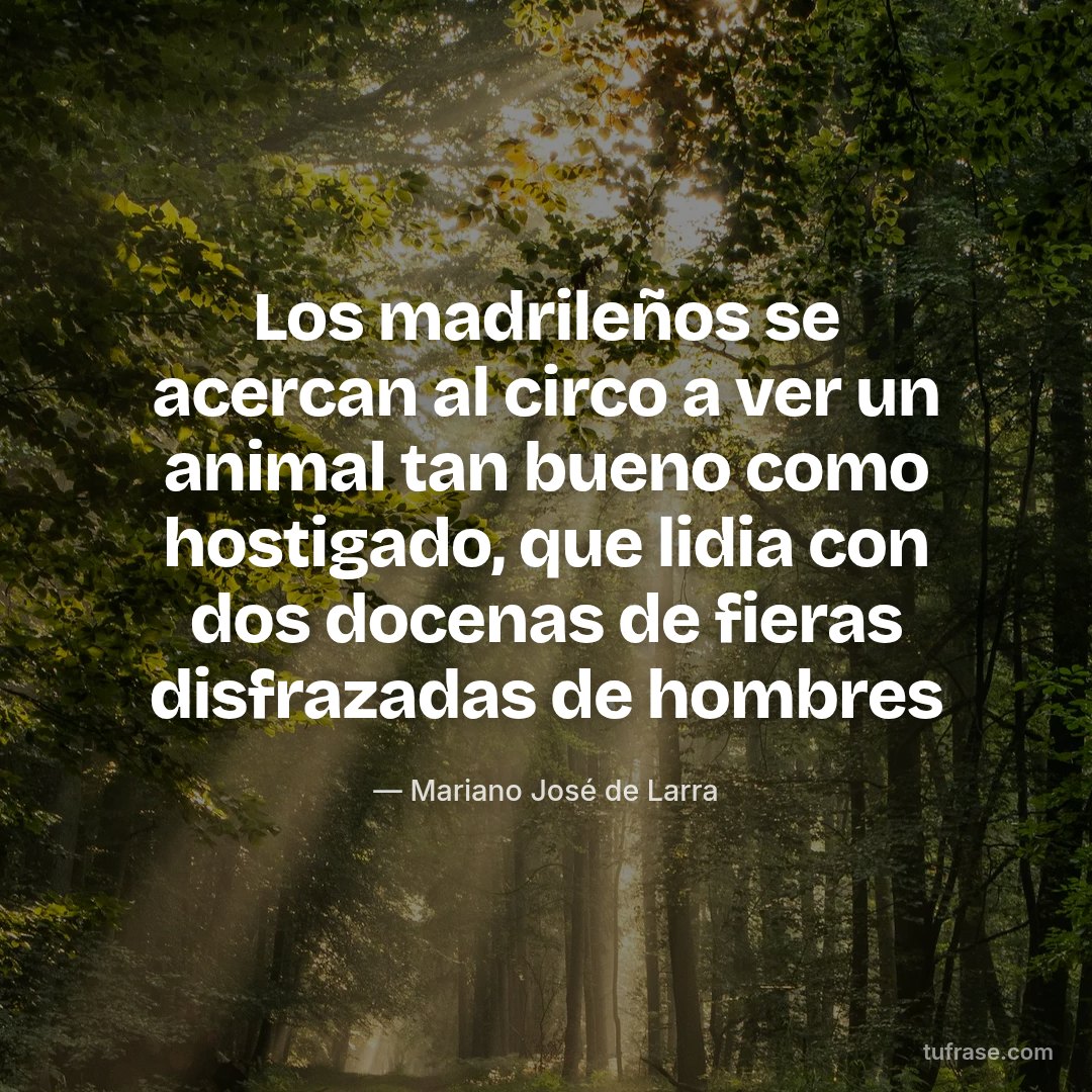 Los madrileños se acercan al circo a ver un animal tan bueno como hostigado, que lidia con dos docenas de fieras disfrazadas de hombres